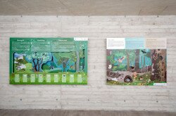 Lóczy-barlang - kiállítás