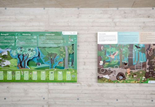 Denevérek Világnapja - DenevérMánia a Lóczy-barlangban