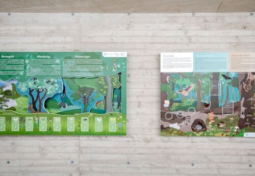 Denevérek Világnapja - DenevérMánia a Lóczy-barlangban