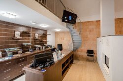 Lóczy-barlang - recepció