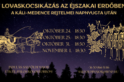 Lovaskocsikázás az éjszakai erdőben