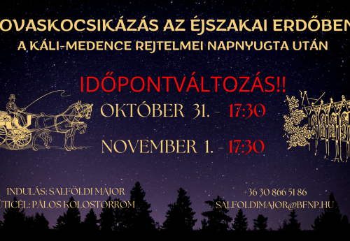 Lovaskocsikázás az éjszakai erdőben