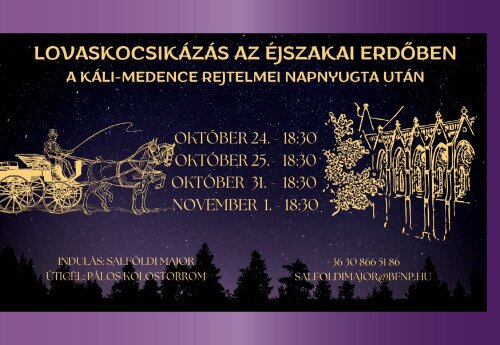 Lovaskocsikázás az éjszakai erdőben