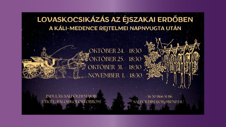 Lovaskocsikázás az éjszakai erdőben