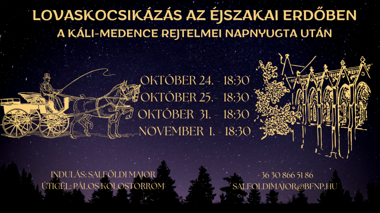 Lovaskocsikázás az éjszakai erdőben