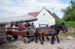 Lovaskocsival a majorból a Pálos kolostorhoz