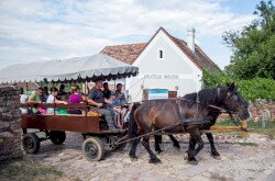 Lovaskocsival a majorból a Pálos kolostorhoz