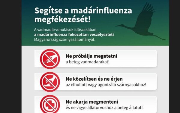Segítse a madárinfluenza megfékezését!