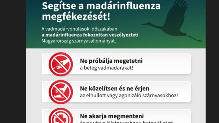 Segítse a madárinfluenza megfékezését!