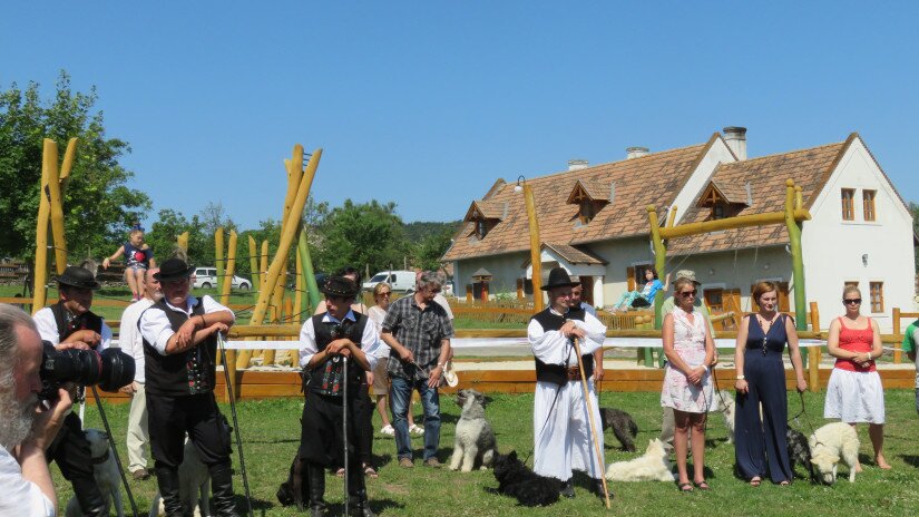 Magyar pásztorkutyás hétvége