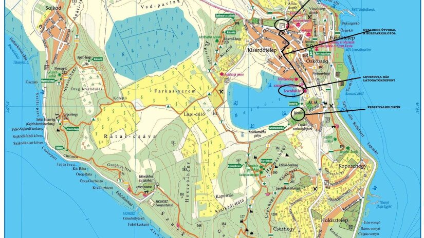 Map of the Tihany Peninsula - Lavender Pick It Yourself