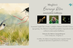 Meghívó