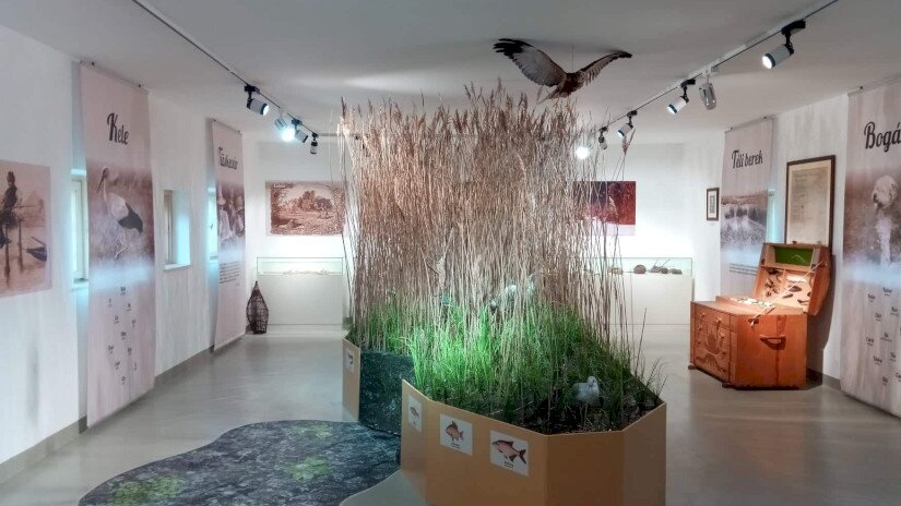 Megújult Fekete István Emlékhely