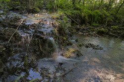 Mésztufagát, Koloska-patak