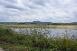 Moorland Miklád