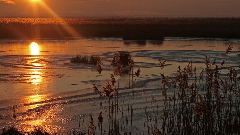 Morgendämmerung am Kis-Balaton