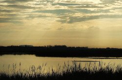 Morning lights at Kis-Balaton