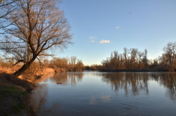 Mura-Dráva-Duna Bioszféra-rezervátum