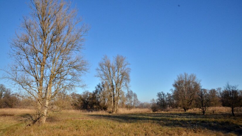 slidebg4 Mura-Dráva-Duna Bioszféra-rezervátum