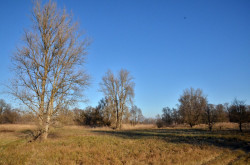 Mura-Dráva-Duna Bioszféra-rezervátum