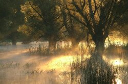  Mura-Dráva-Duna Bioszféra-rezervátum