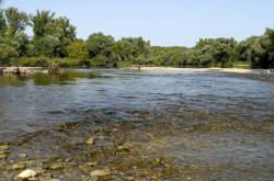 Mura-Dráva-Duna Bioszféra-rezervátum