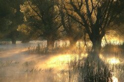 Mura-Dráva-Duna Bioszféra-rezervátum