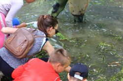 Mura-menti természetiskola a söjtöri iskola tanulóival