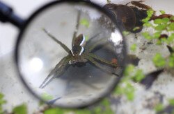 Mura-menti természetiskola a söjtöri iskola tanulóival