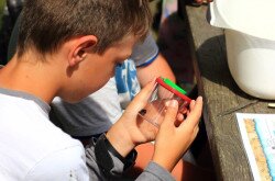 Mura-menti természetiskola a söjtöri iskola tanulóival