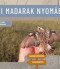 Nádi madarak nyomában