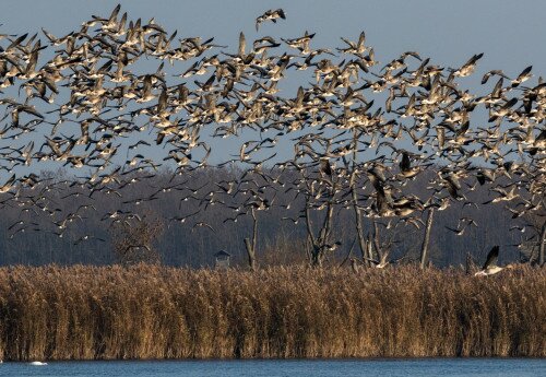Vizes Élőhelyek Világnapja – Túra a Nagyberekben