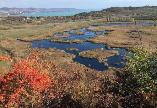 Nature conservation research