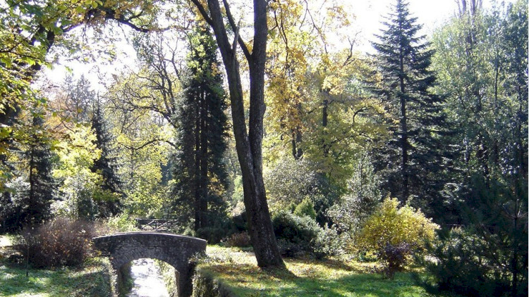 Naturschutzgebiet Zirc Arboretum