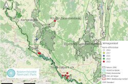Nutria előfordulásai és terjedése