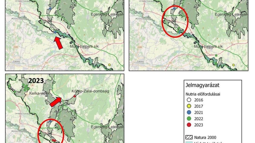 Nutria előfordulásai és terjedése - évenként