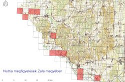 Nutria megfigyelések Zala megyében