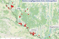 Nutria megfigyelések Zala vármegyében