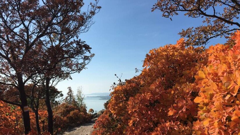 Őszi kép, rálátás a Balatonra