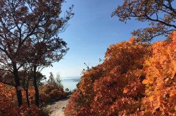 Őszi kép, rálátás a Balatonra