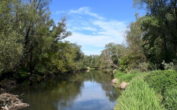 Az Ötoldalú Mura-Dráva-Duna Bioszféra-rezervátum Zala vármegyei területének komplex természetvédelmi fejlesztése