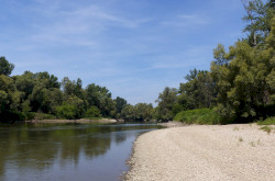 P1100464_átméretezett.jpg