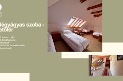 Park Villa - Négyágyas szoba - apartman (tetőtér, klimatizált, konyhasarokkal) / Csopak szálláshely