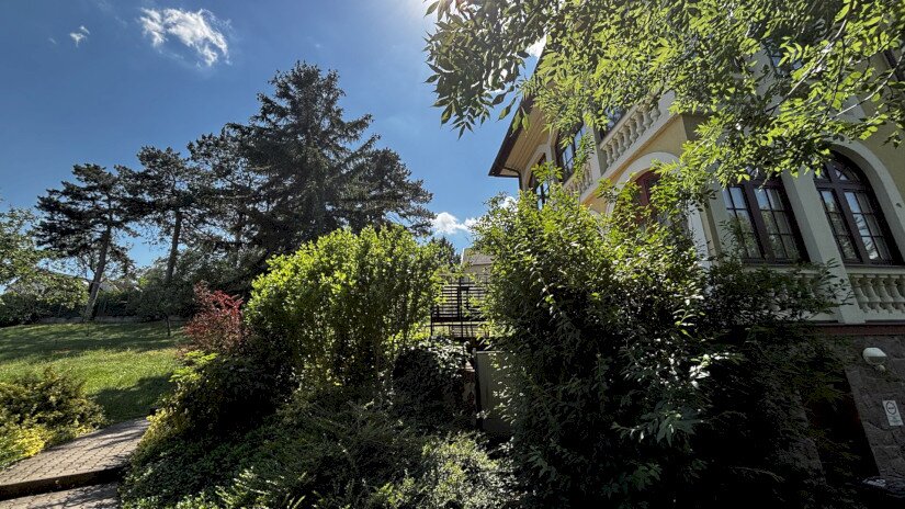 Park Villa - Park / Csopak szálláshely / Fotó: Vida Lilla (BfNPI)