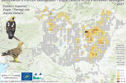 Parlagi sasok megfigyelési adatai a Pannon-régióban