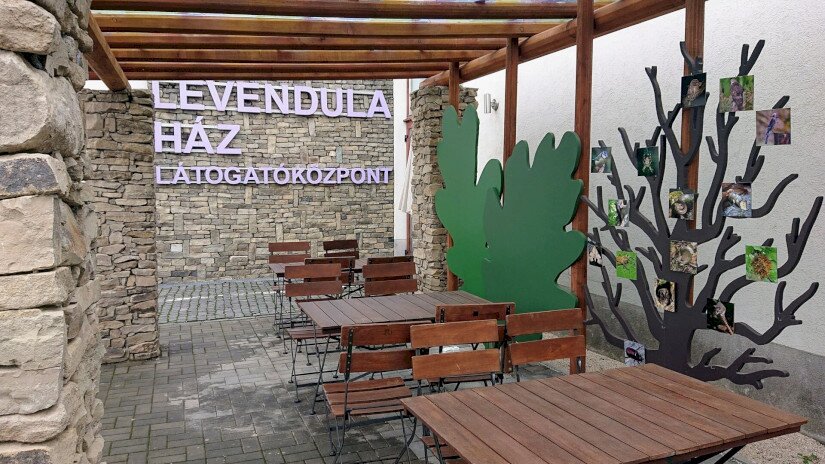 Pergola a Levendula Ház kertjében