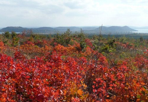 A Táj Nemzetközi Napja: Őszi színes-köves tájséta Balatonfüred szőlőhegyein 2023-10-21