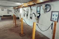 "Racka"-terem - kiállítótér