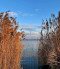 Ramsar Sites
