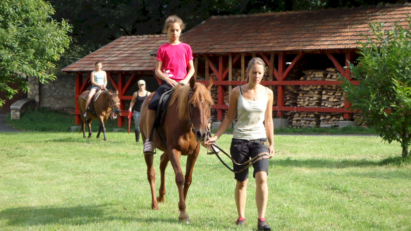 Reiten, Waldschule in Bakonybél